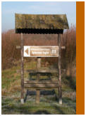 Der Weg fhrt zum Germanischen Opfermoor