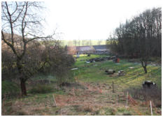 Blick auf die Wiese - hier befindet sich der siebte Mittelpunkt Deutschlands in Thringen