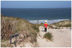 Die Tour fhrt durch die Dnen und dann ca. 2 km am Strand entlang