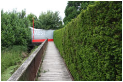 Der Weg zum Westzipfel fhrt ber diesen Bohlenweg