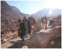 Gegenverkehr - Hier sollte man ausweichen